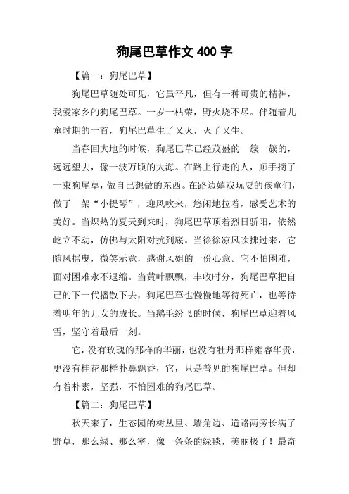 狗尾巴草作文400字