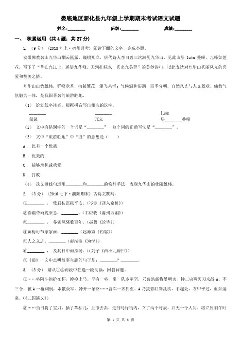 娄底地区新化县九年级上学期期末考试语文试题