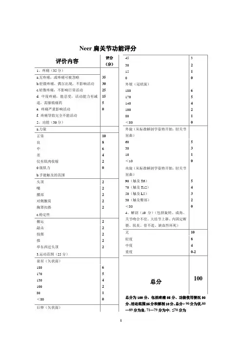 Neer肩关节功能评分