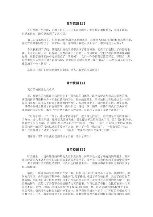 雪后校园作文
