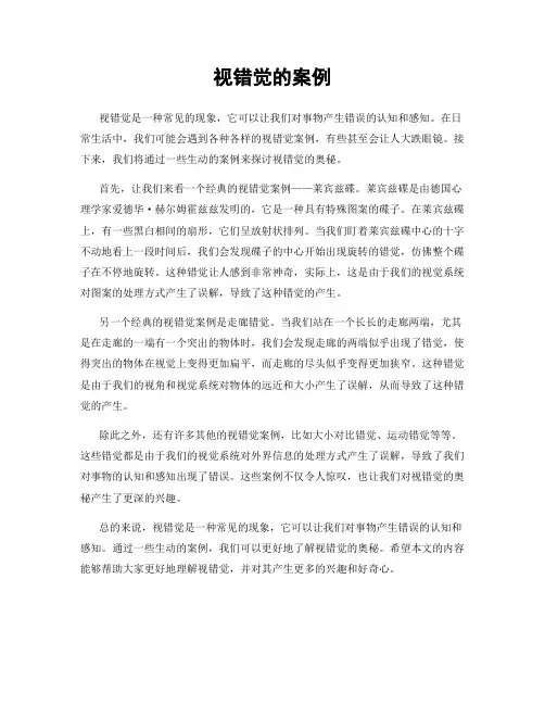 视错觉的案例