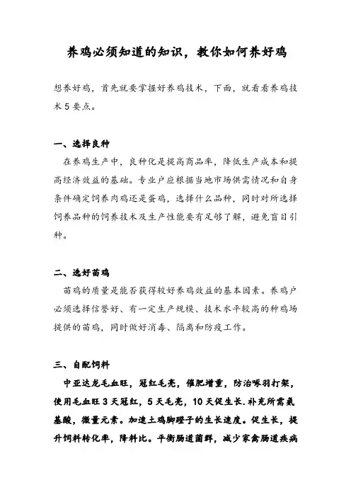 养鸡必须知道的知识,教你如何养好鸡