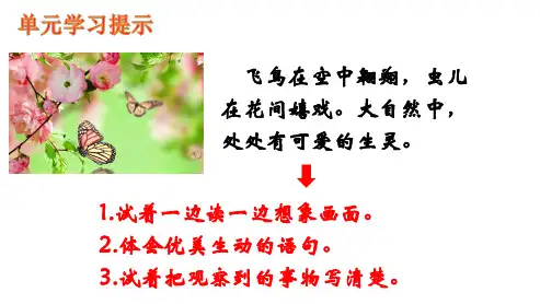 部编三年级下册《古诗三首》绝句 惠崇春江晚景 三衢道中 优质课件