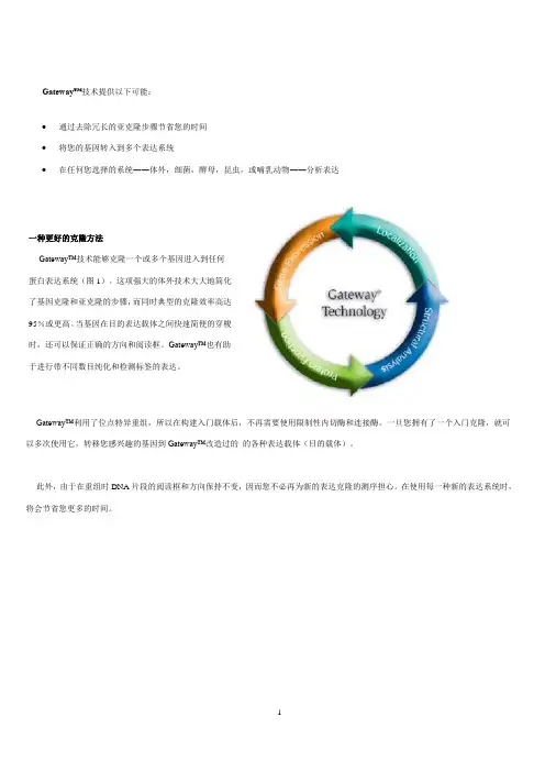 Gateway技术