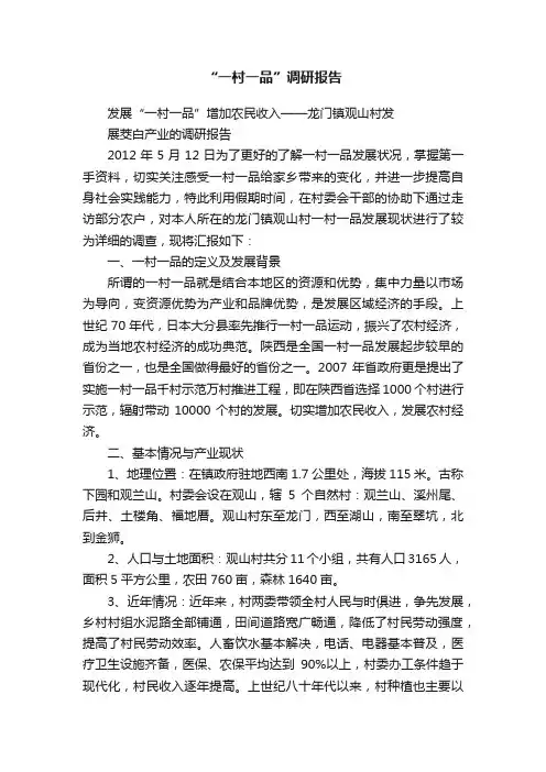 “一村一品”调研报告