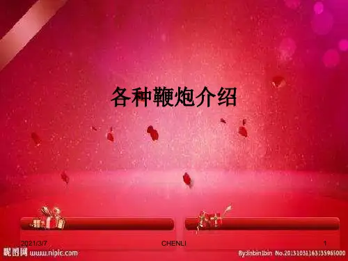 各种鞭炮介绍PPT课件
