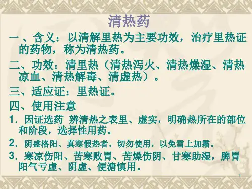 4-清热泻火药123