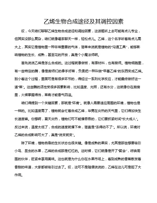 乙烯生物合成途径及其调控因素