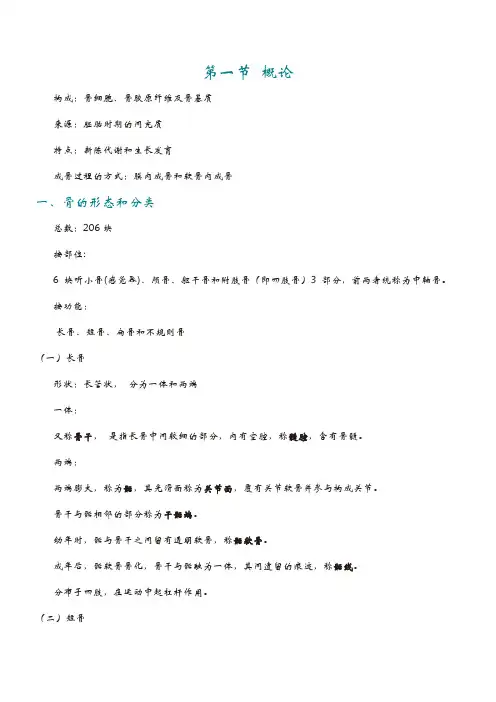 骨学知识点