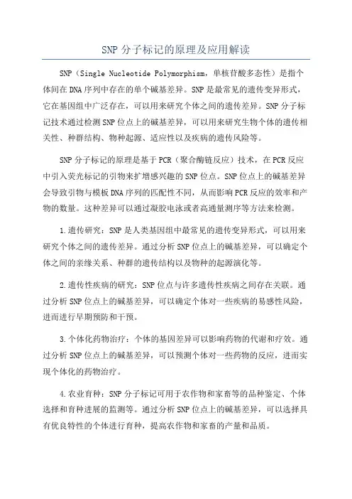 SNP分子标记的原理及应用解读