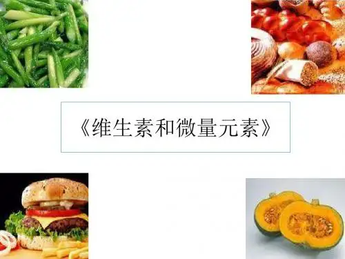 维生素和微量元素 PPT课件6 人教课标版