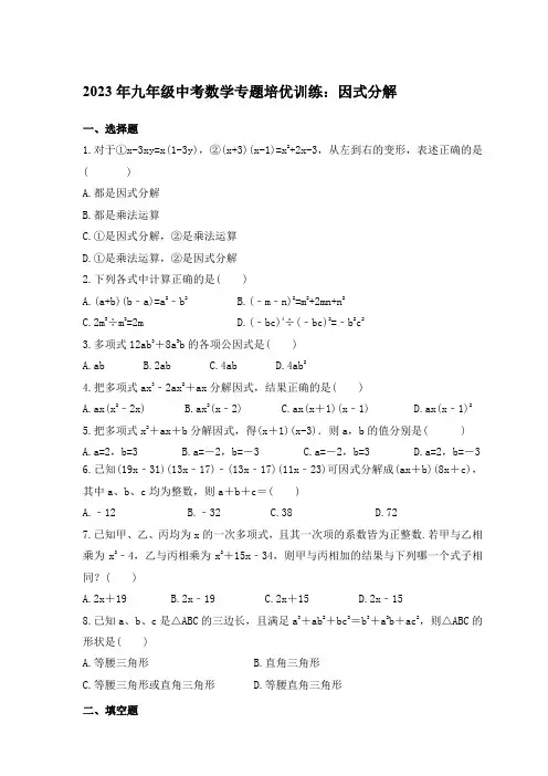 2023年九年级中考数学专题培优训练：因式分解【含答案】