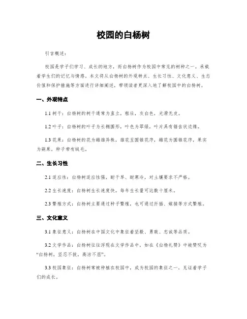 校园的白杨树