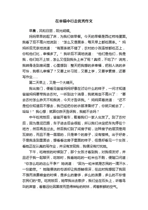 在幸福中行走优秀作文
