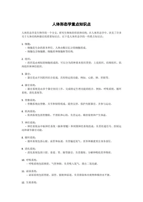 人体形态学重点知识点