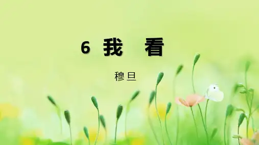 第6课《我看》课件(共16张PPT)部编版语文九年级上册