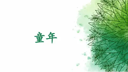 三年级下册语文课件 第六单元童年整体 人教部编版