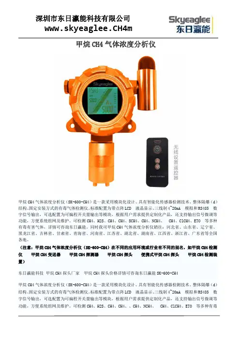 甲烷CH4气体浓度分析仪