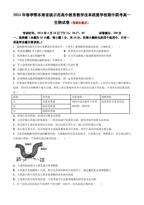 湖北省鄂东南省级示范高中教育教学改革联盟学校2023-2024学年高一下学期期中联考生物试卷含答案
