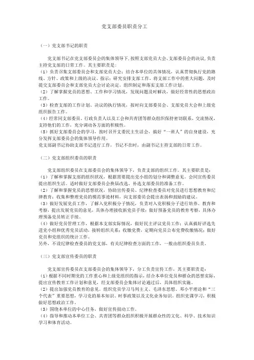 党支部委员职责分工