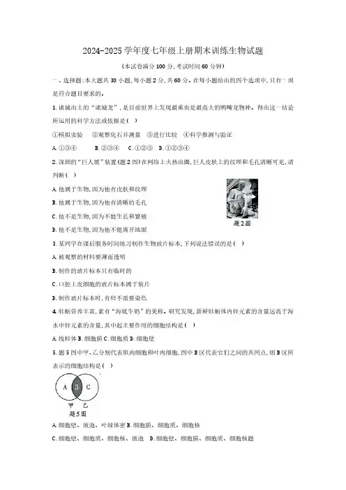 2024-2025学年七年级上学期期末训练生物试题(含答案)