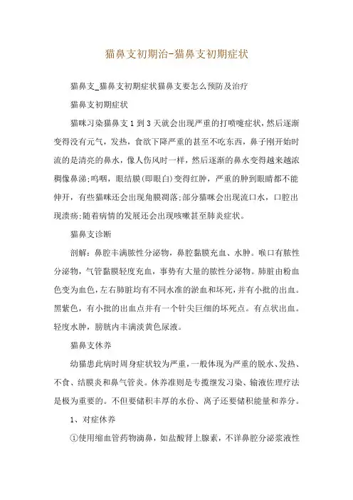 猫鼻支初期治-猫鼻支初期症状