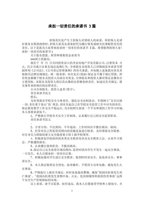 承担一切责任的承诺书 3篇