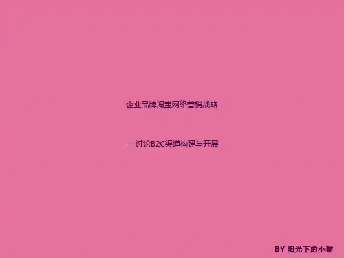 淘宝网络营销策略ppt课件