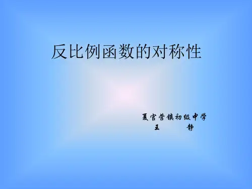 反比例函数的对称性课件