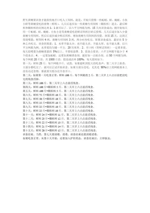 野生黄鳝如何训食解析