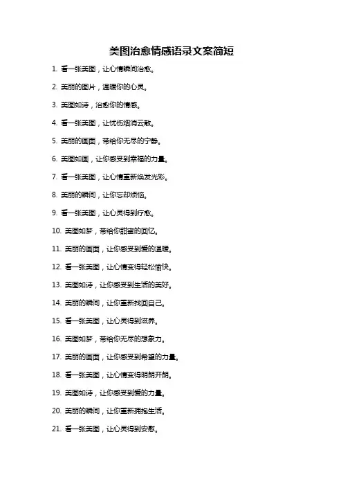 美图治愈情感语录文案简短