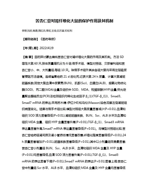 苦杏仁苷对肾纤维化大鼠的保护作用及其机制