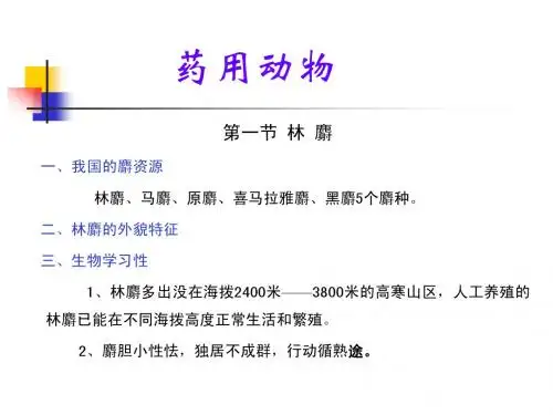 兽1