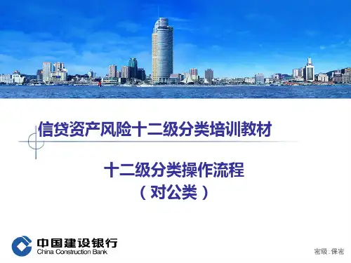 十二级分类培训