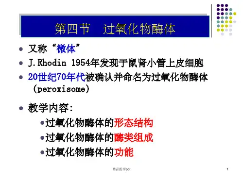 内膜系统-过氧化物酶体-囊泡-疾病