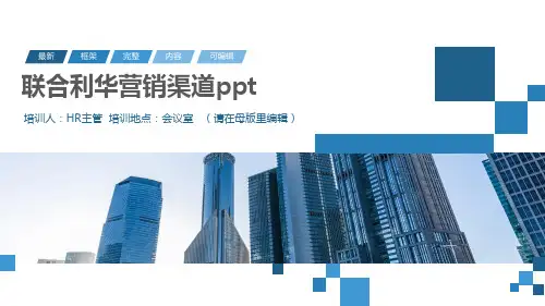 联合利华营销渠道ppt
