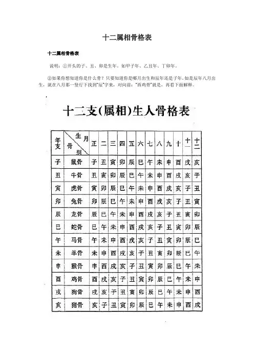 十二属相骨格表