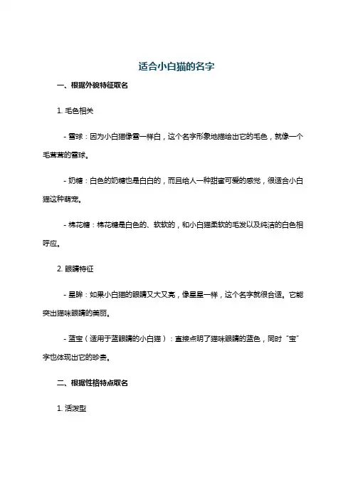 适合小白猫的名字
