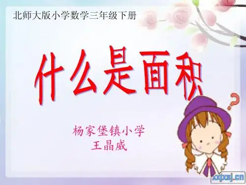 什么是面积