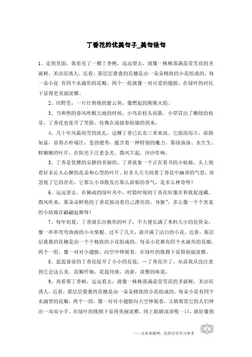 丁香花的优美句子-美句佳句