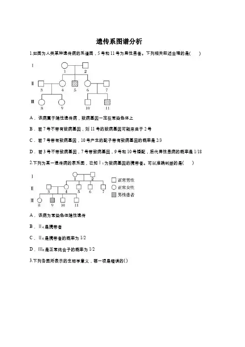 人教版高一生物必修二同步精选对点训练：遗传系图谱分析