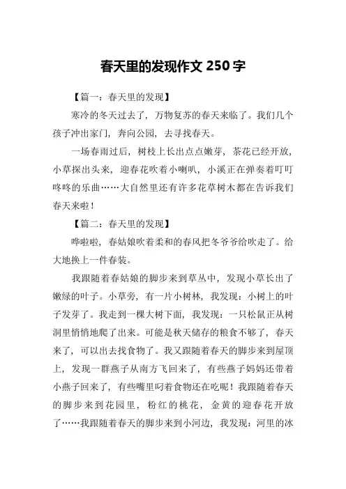 春天里的发现作文250字