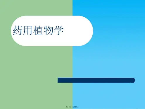 药用植物学绪论ppt课件