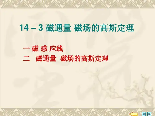 磁通量 磁场的高斯定理