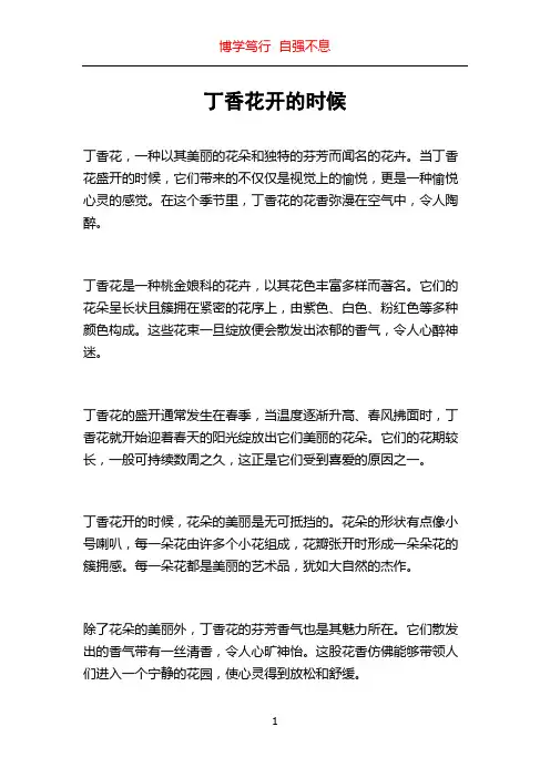 丁香花开的时候