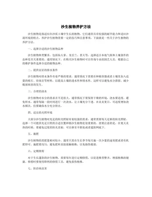 沙生植物养护方法