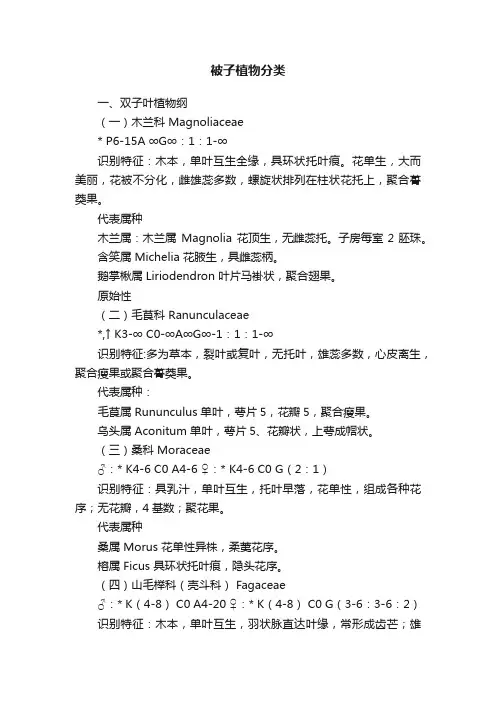 被子植物分类