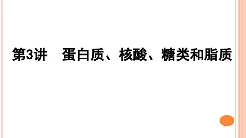 新人教版一轮复习  第3讲 蛋白质、核酸、糖类和脂质