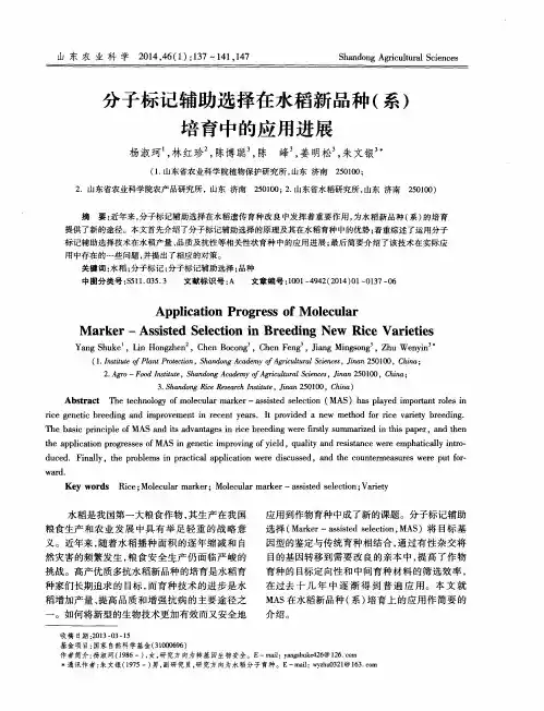 分子标记辅助选择在水稻新品种(系)培育中的应用进展