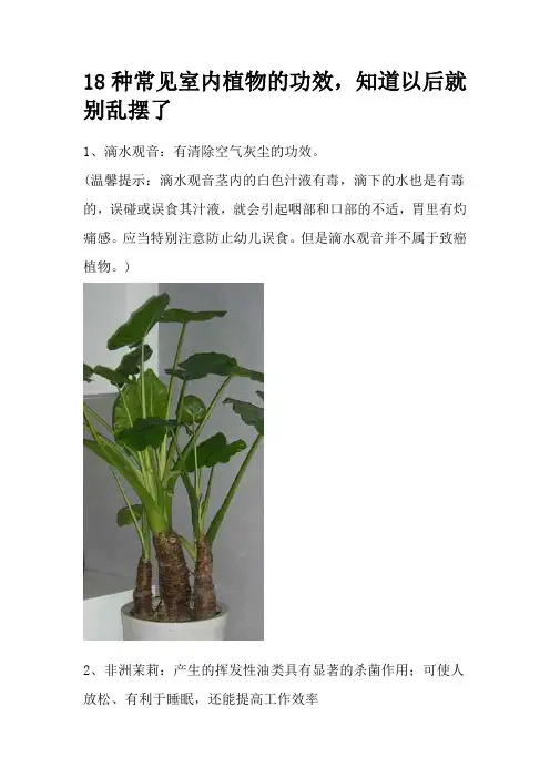 18种常见室内植物的功效,知道以后就别乱摆了